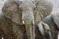 photo mosaic animal nature elephant hunt hunting animals outdoors wildlife environment