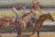 photo mosaic horse racing race animals students school fundraiser fund raiser