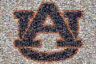 photo mosaic logo college family school text sports
