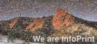 photo mosaic Infoprint mountain landscape snow skiing corporate office ad advertisement commercial employee company text large mural