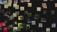 photo mosaic video animation earth world logo emblem corporate advertising ad advertising