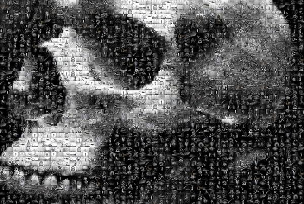 Black and White Skull photo mosaic