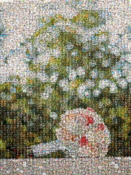 Wedding Bouquet photo mosaic