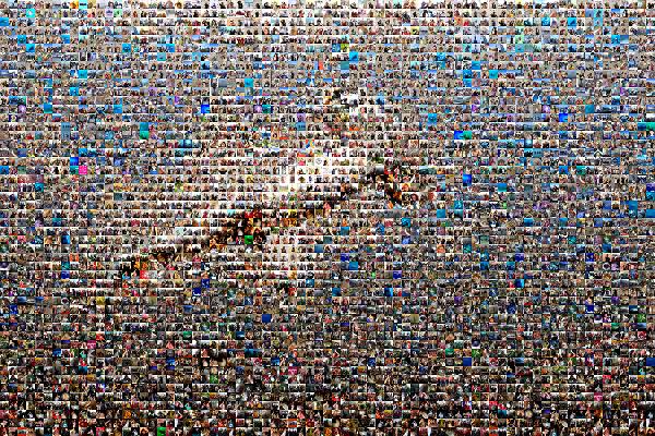Hammerhead Shark photo mosaic