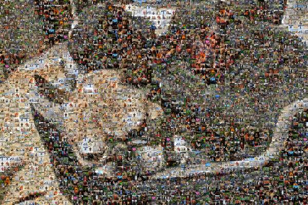 Toy Bulldog photo mosaic