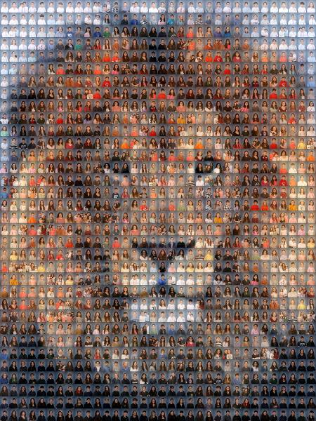 Lion photo mosaic