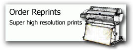 Order Reprints