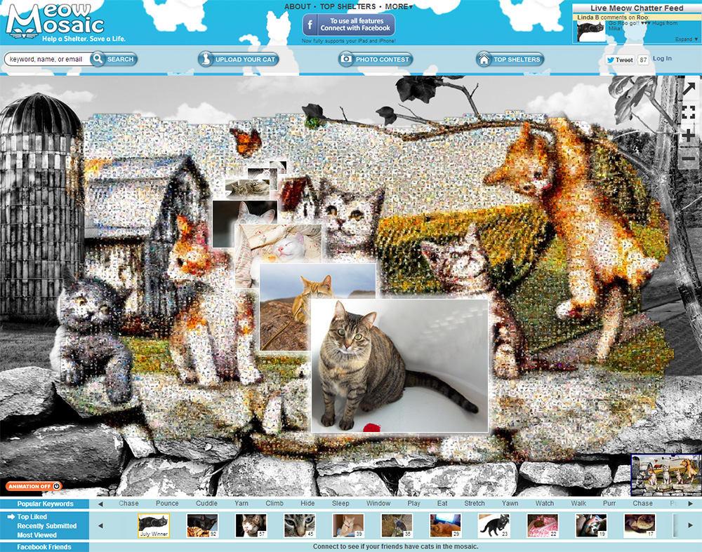 A look at the Meow Mosaic page, built in HTML5.