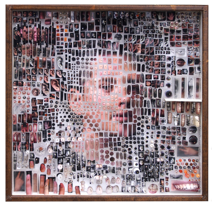 Michael Mapes 'Human Specimens' Photo Mosaics