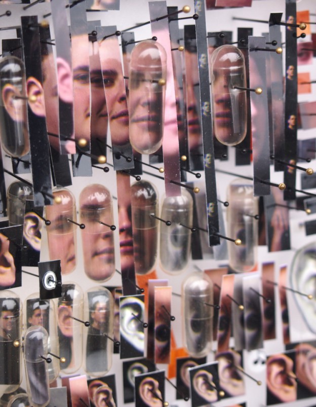 Michael Mapes' Photo Mosaics of 'Human Specimens' Picture Mosaics