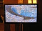 Nestle Conference - Real-time Interactive Photo Mosaic