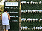 Wall display of participant photos at Camp Mars event