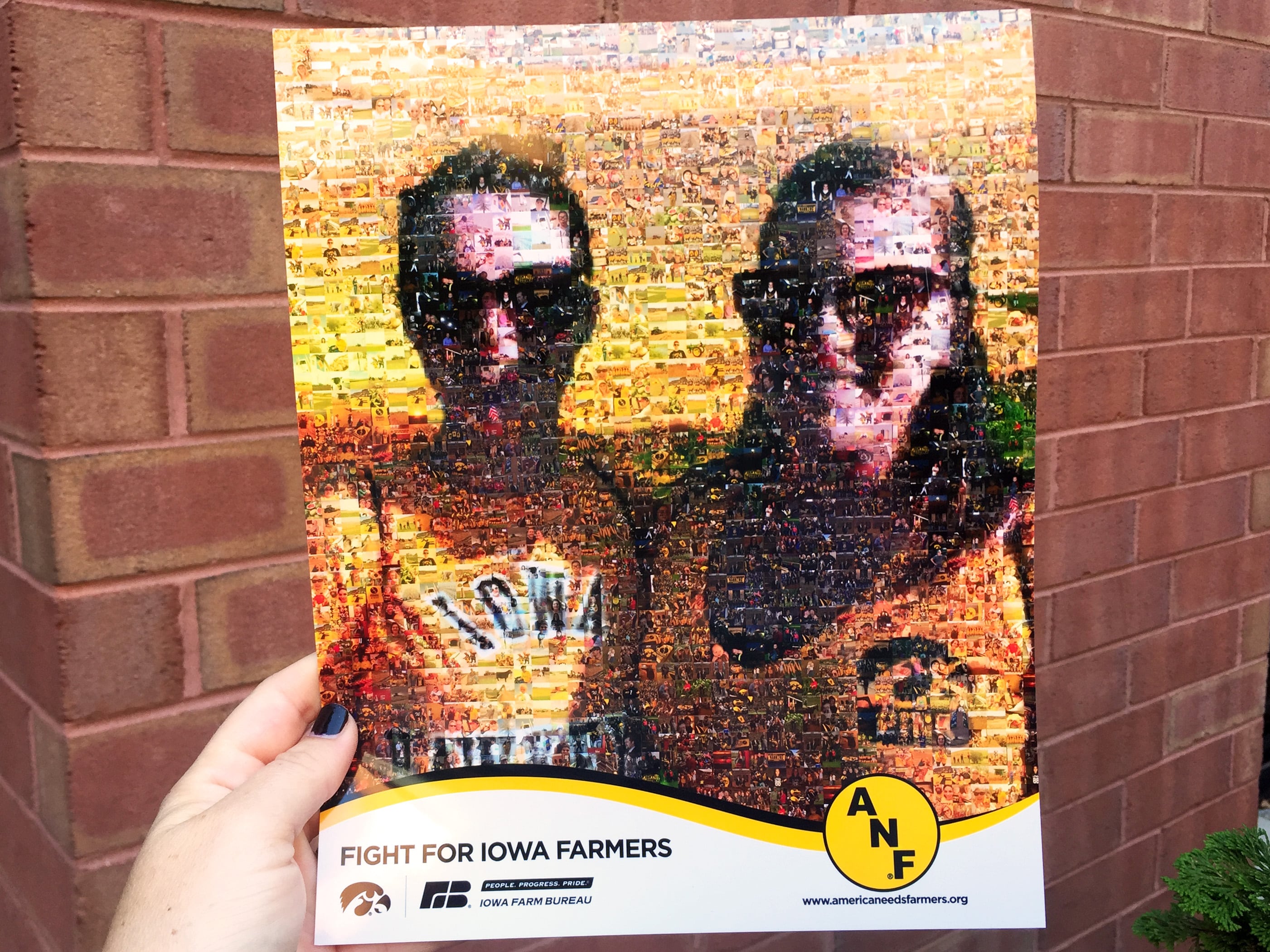 Mosaic-style takeaway featuring two Iowa Hawkeye fans as part of the mosaic