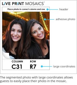 Detailed graphic breakdown explaining elements printed on each photo cell