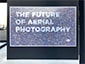 Thumbnail of the completed DJI mosaic wall.