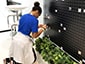 Thumbnail of athlete placing their photo on the mosaic at the 2019 Special Olympics World Games.
