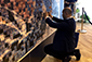 Participant placing photo on mosaic wall at AARC 2019