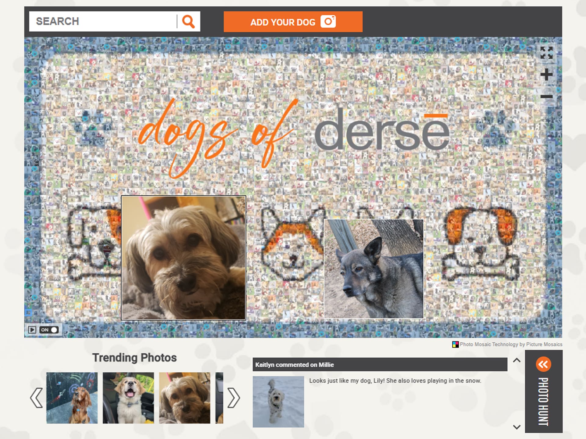 Dogs of Derse online photo mosaic featuring trending images and highlighted comments