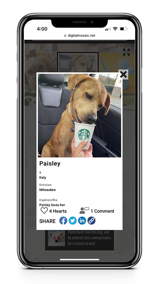 Mobile view of online mosaic showcasing featured photo with social sharing options