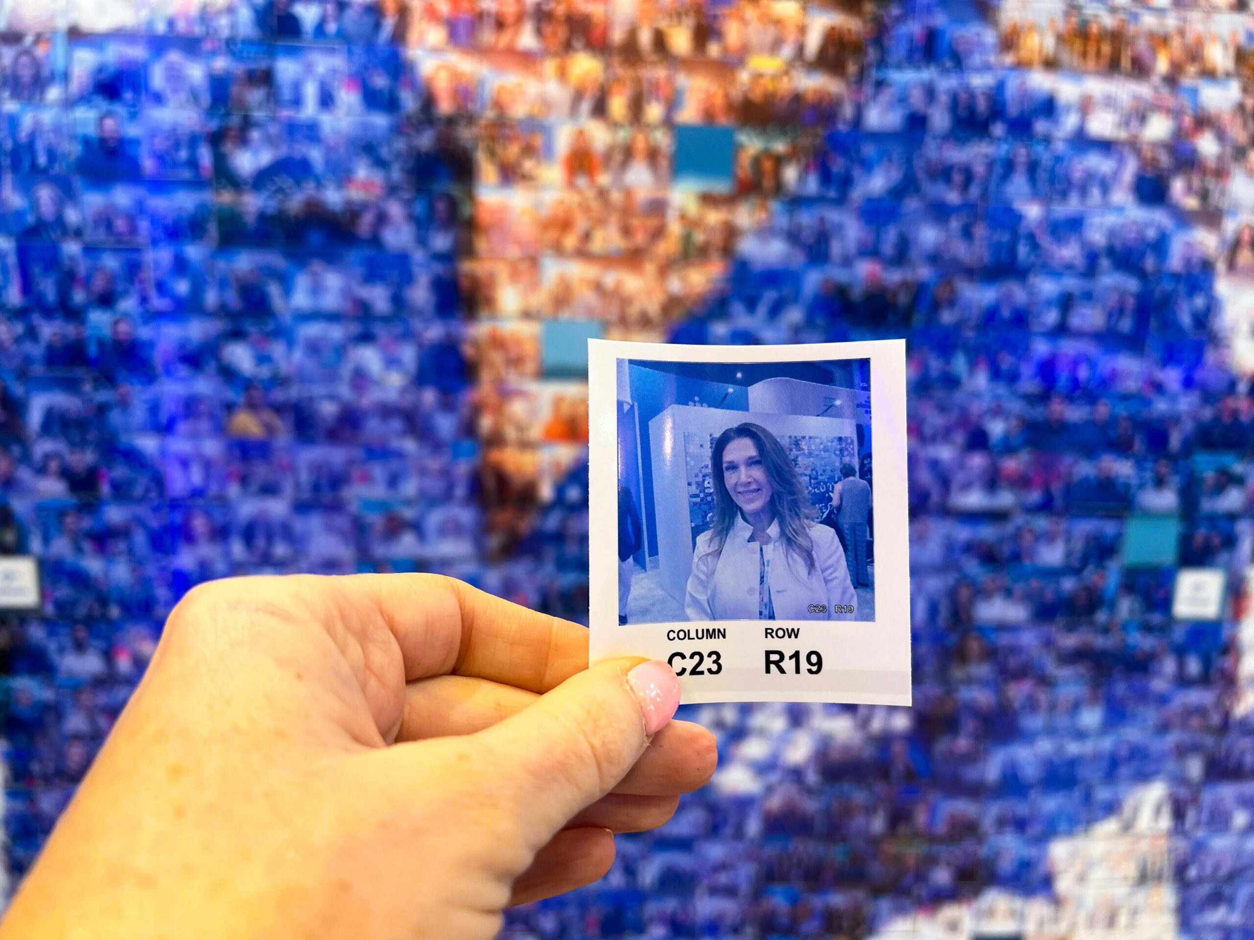 A participant's photo being shown against the mosaic
