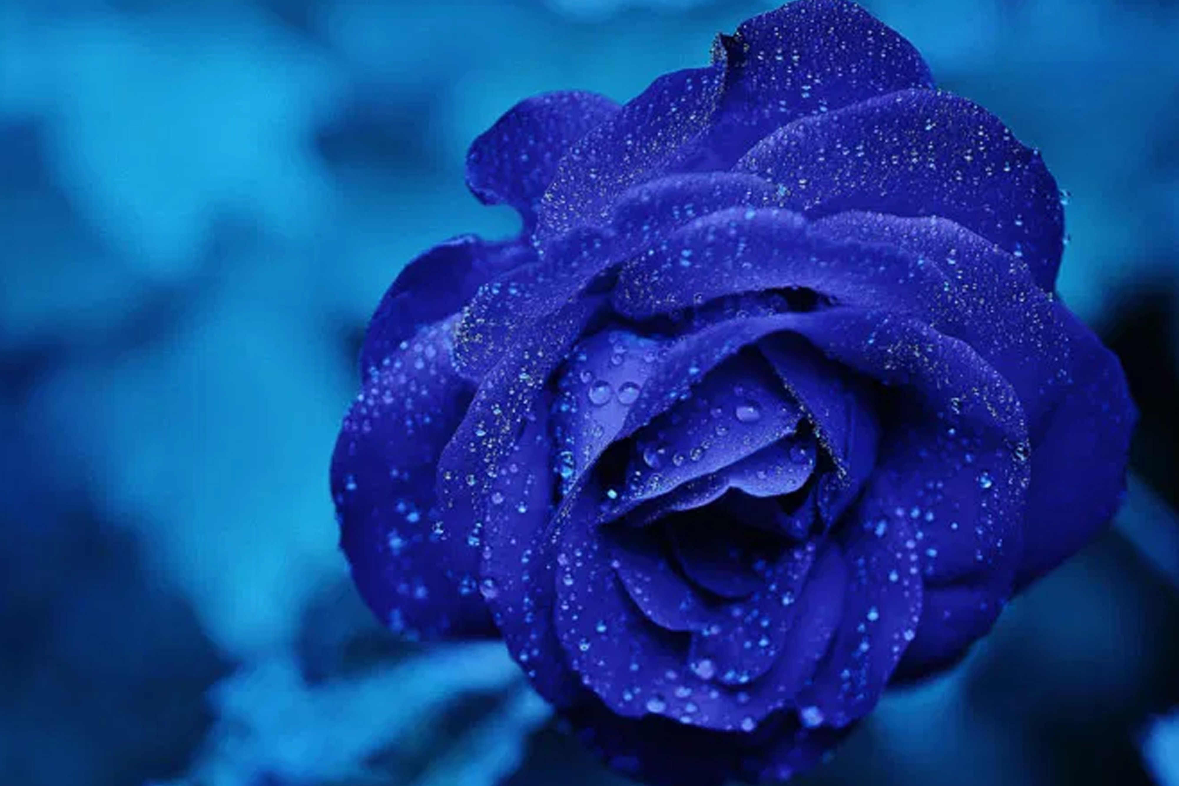 Monochromatic image example that lacks color variety for mosaics