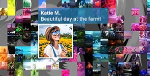 Mosaic detailing a specific photo in it standing out