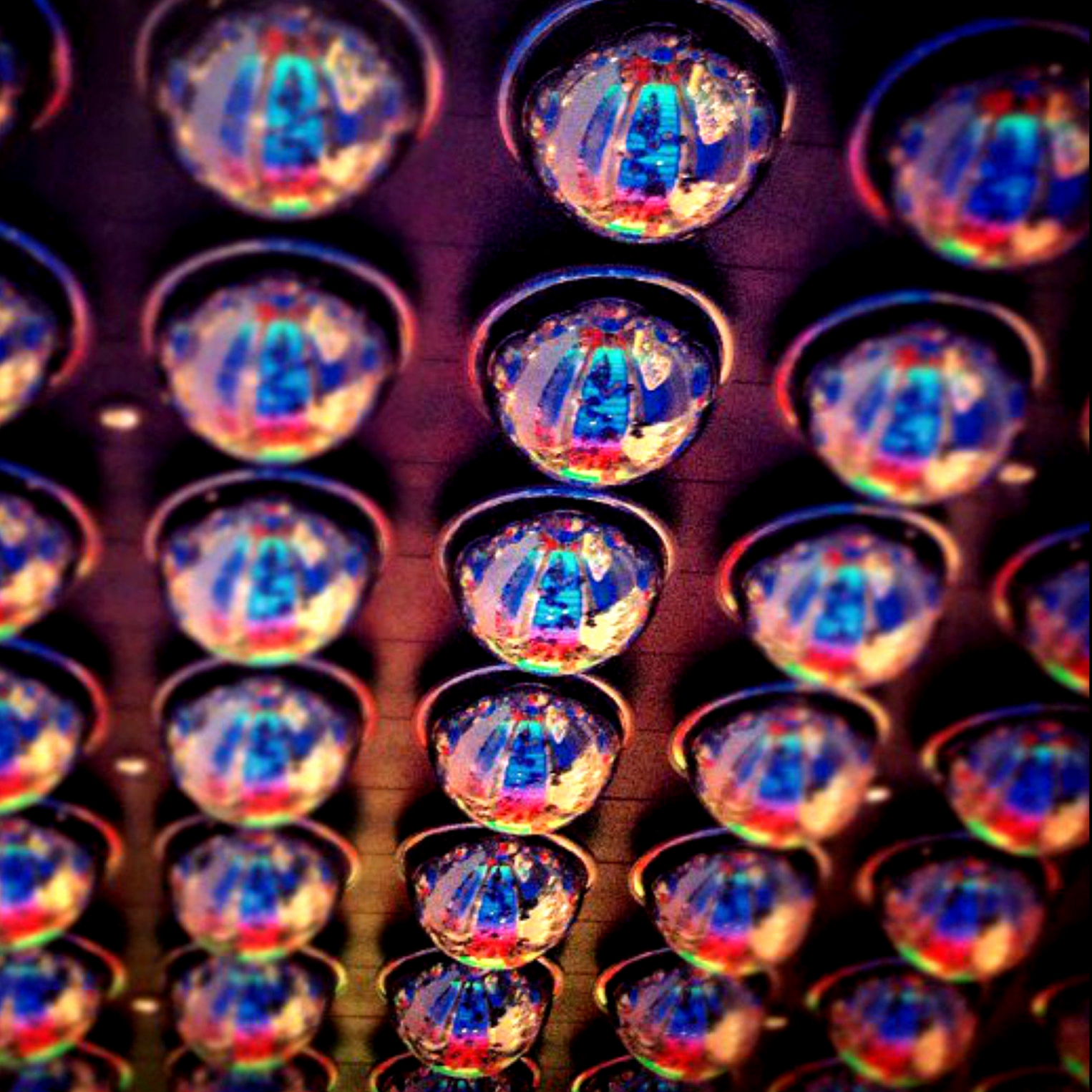 mosaic source image