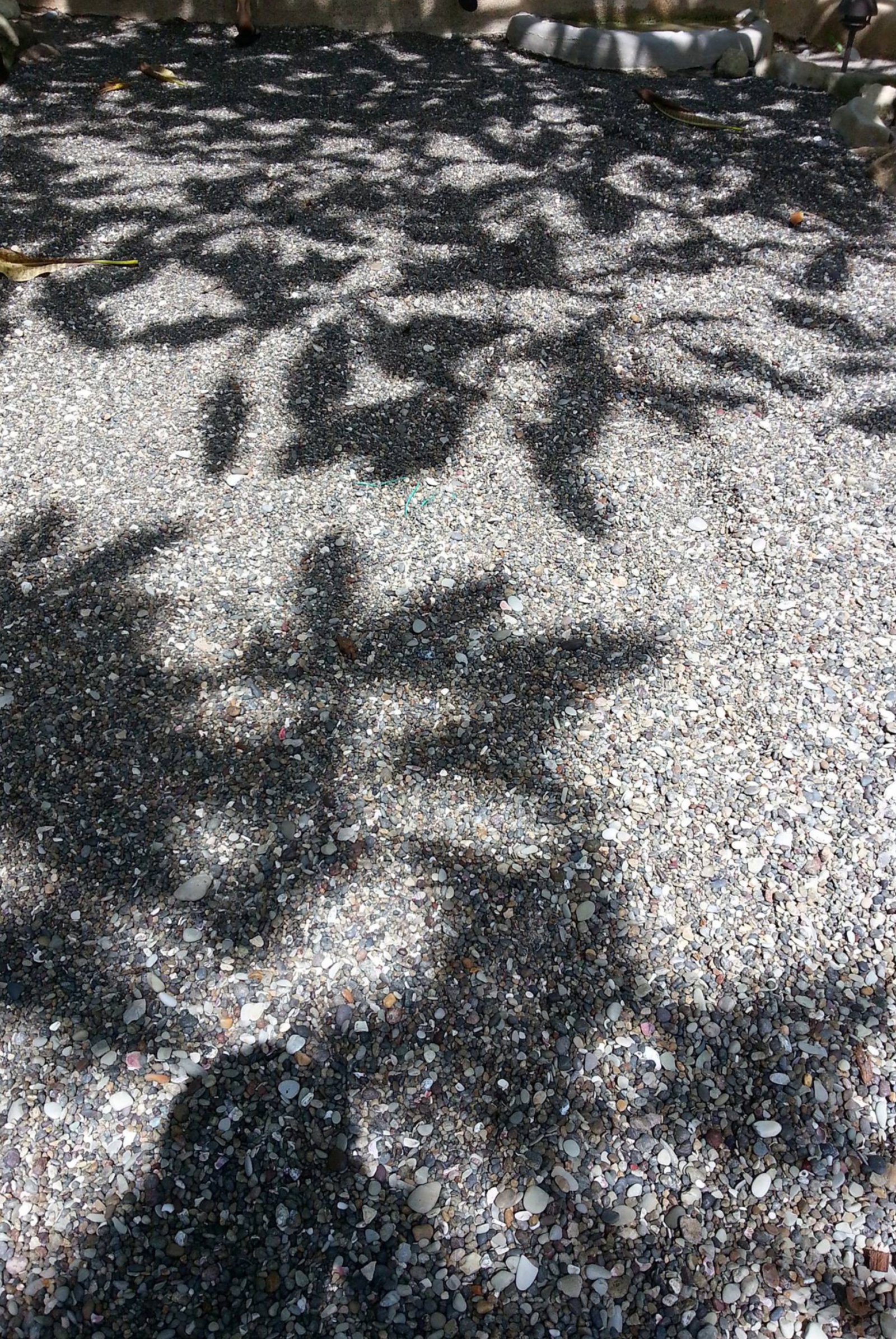 mosaic source image