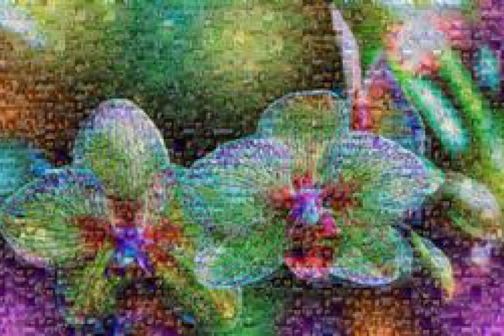mosaic source image