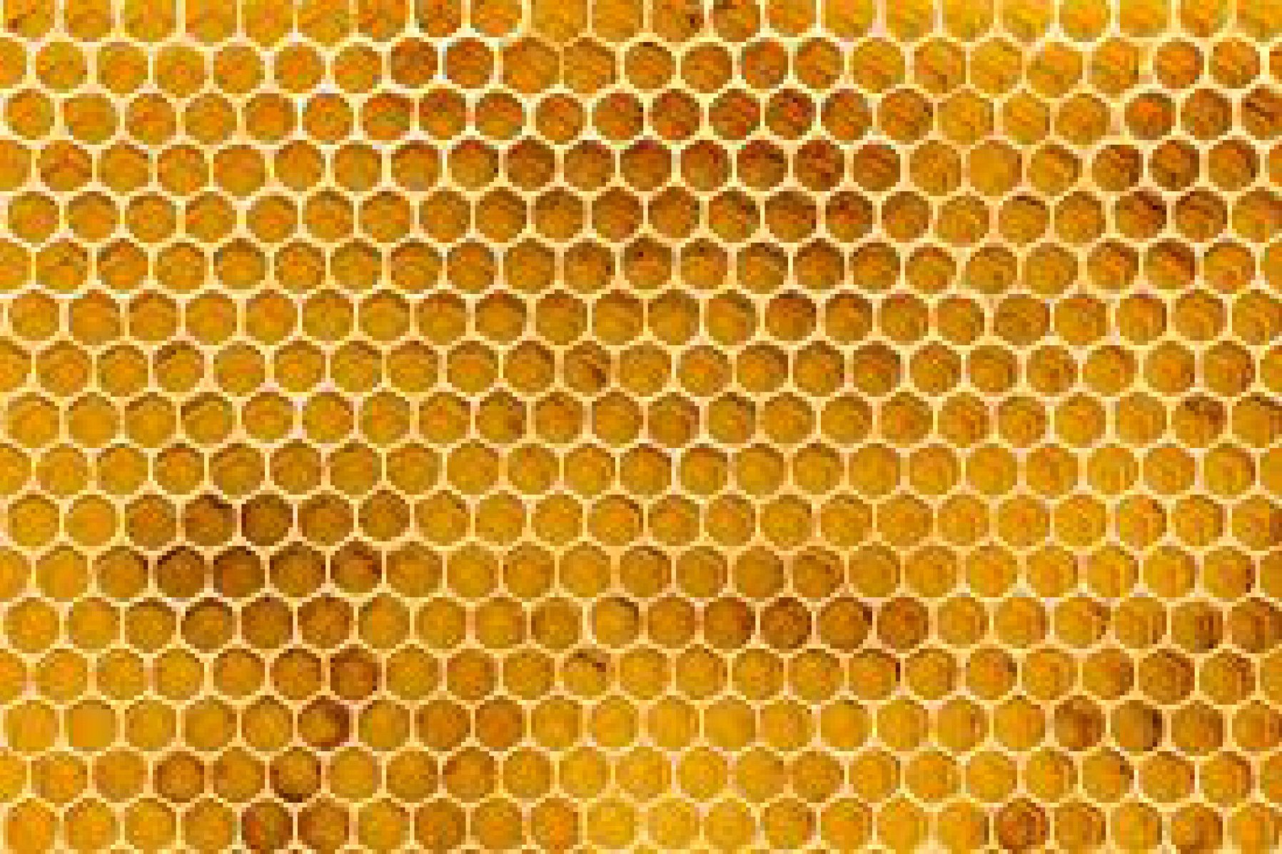 mosaic source image