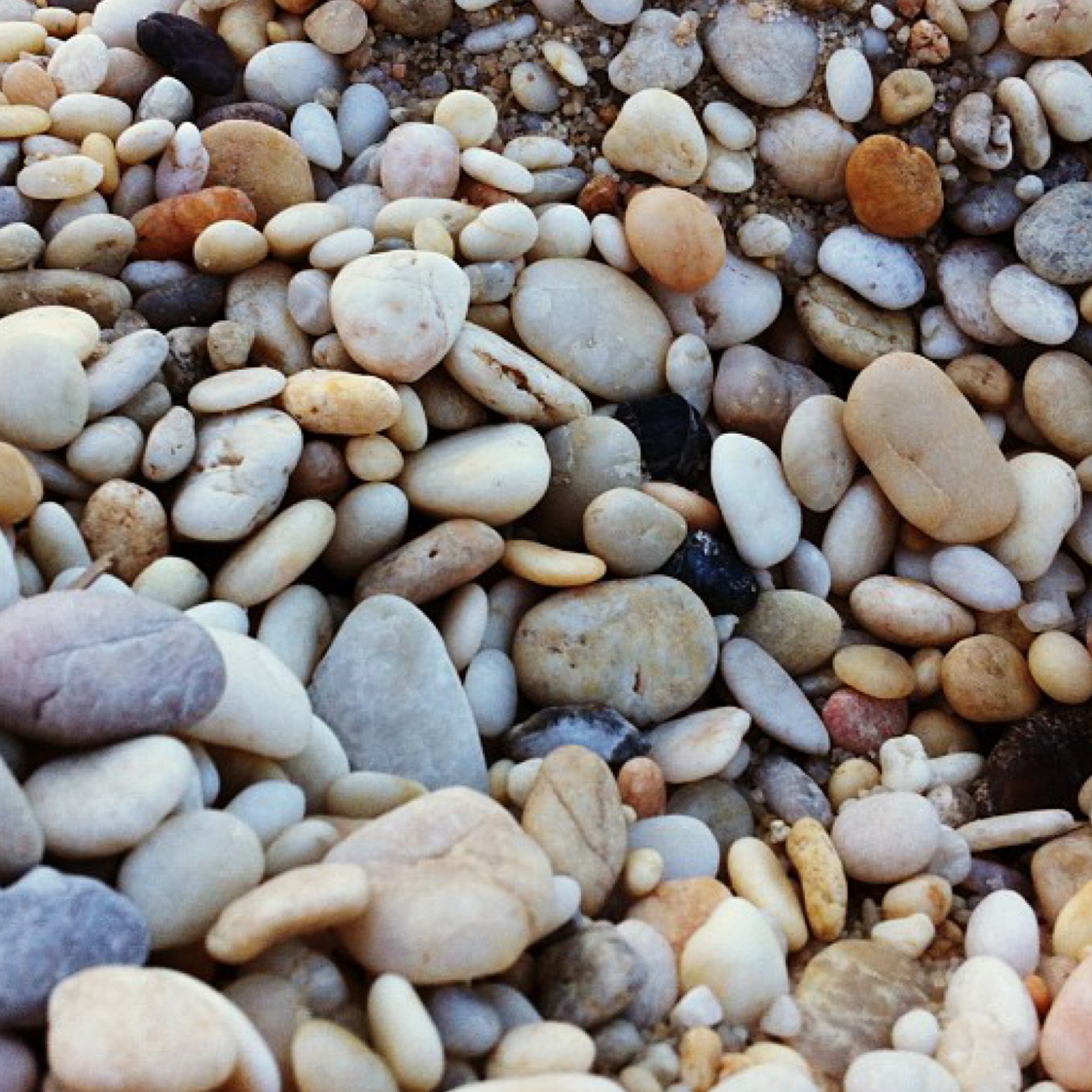 mosaic source image