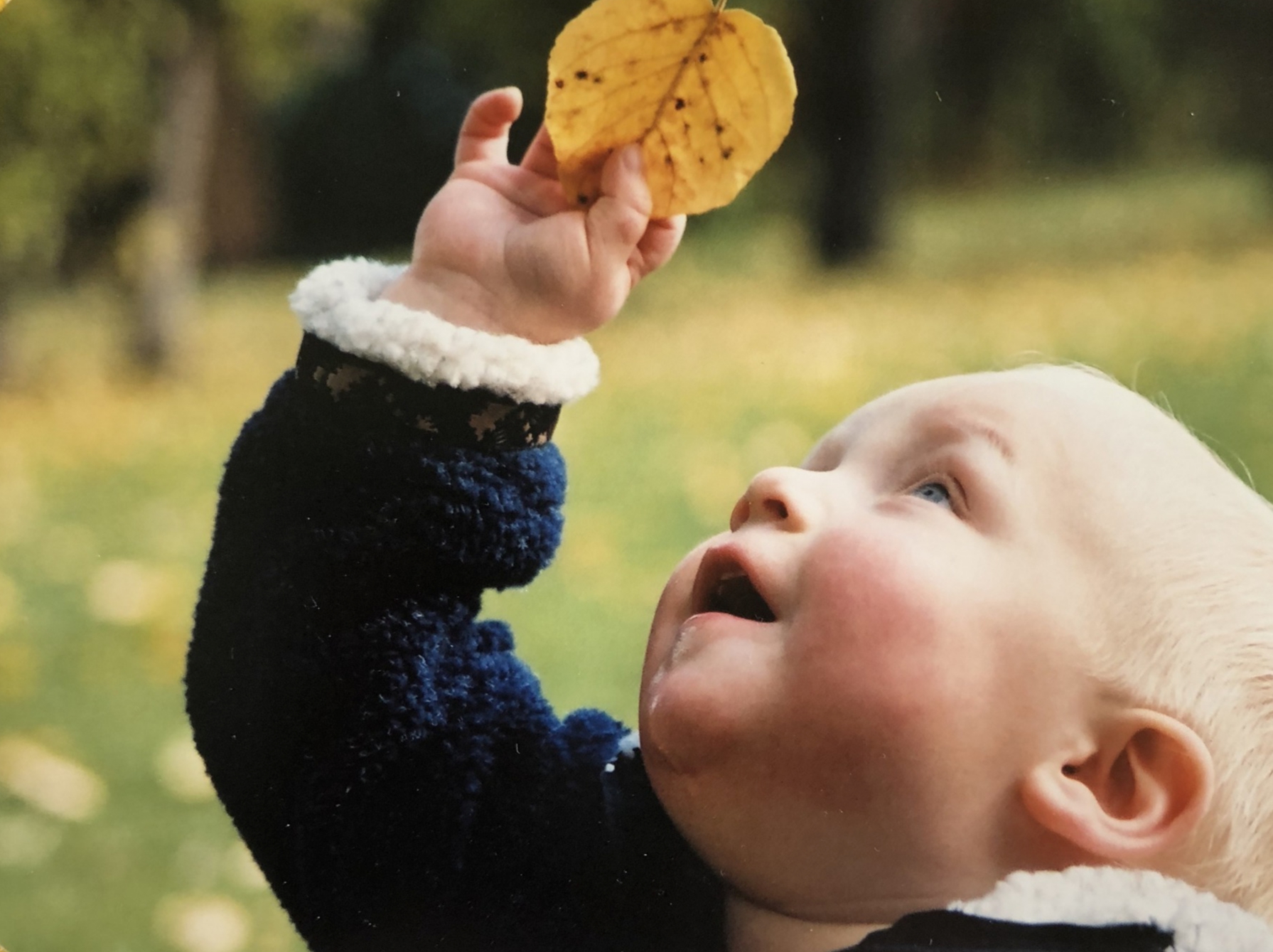 Avery Baby Copy Photo Mosaic Picture Mosaics