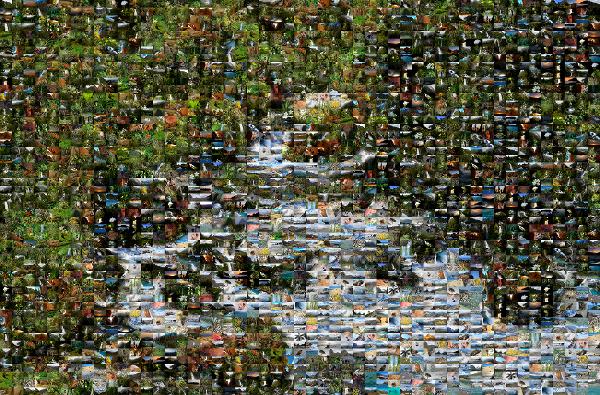 Water photo mosaic