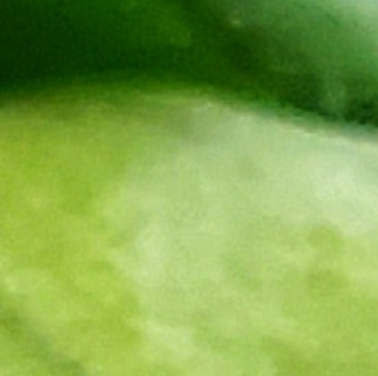 mosaic source image