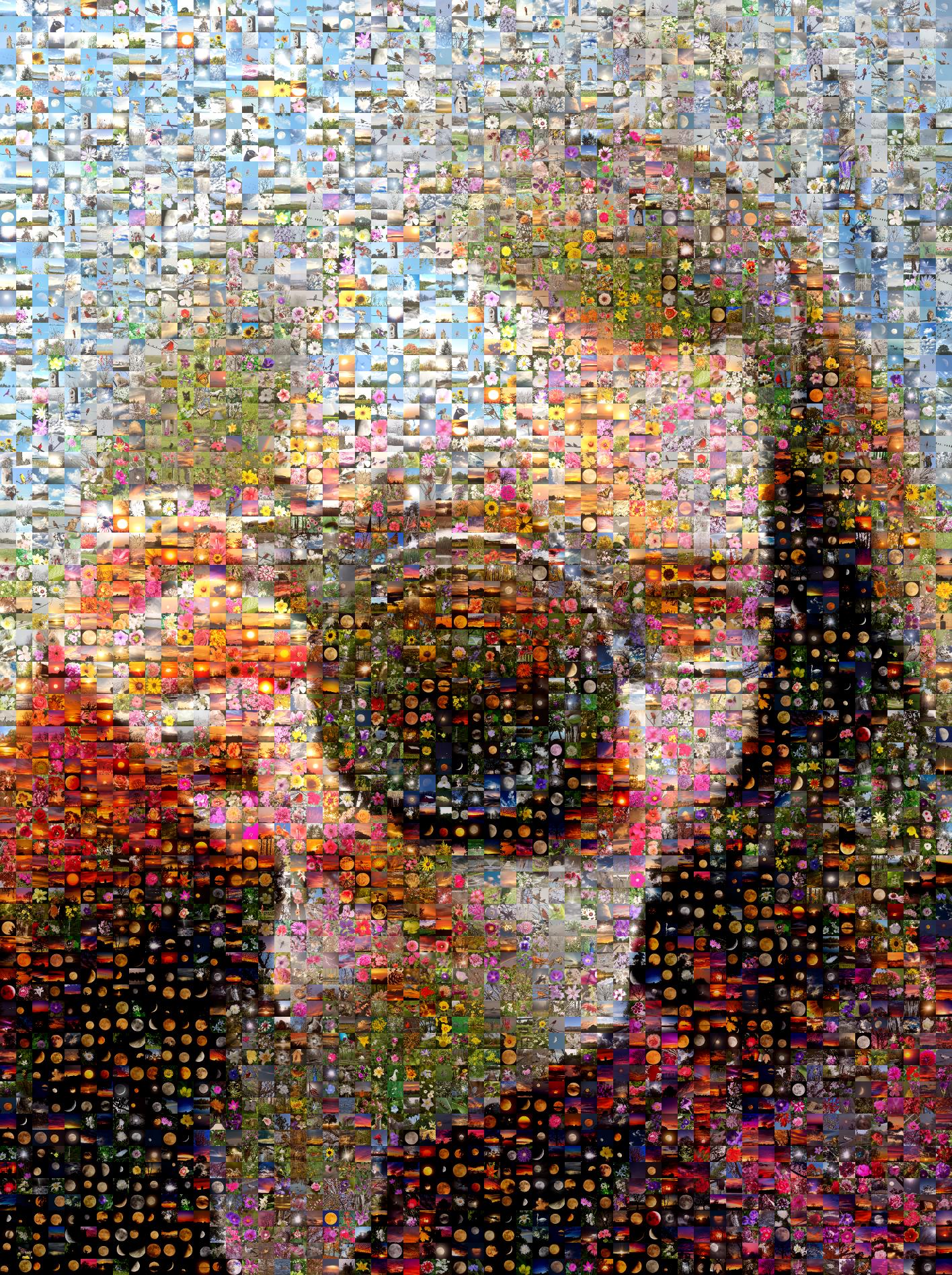 digital photo mosaic