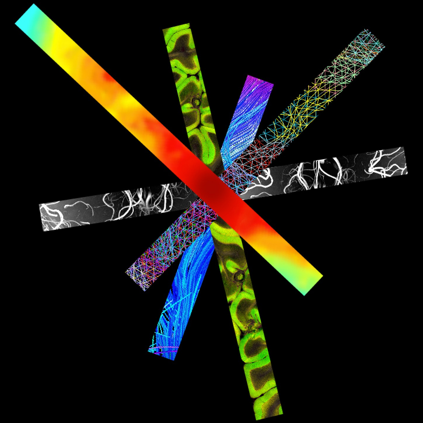 mosaic source image