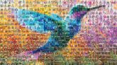 Bird Blue Beak Vertebrate Wing Feather Hummingbird Flight Tail Watercolor painting