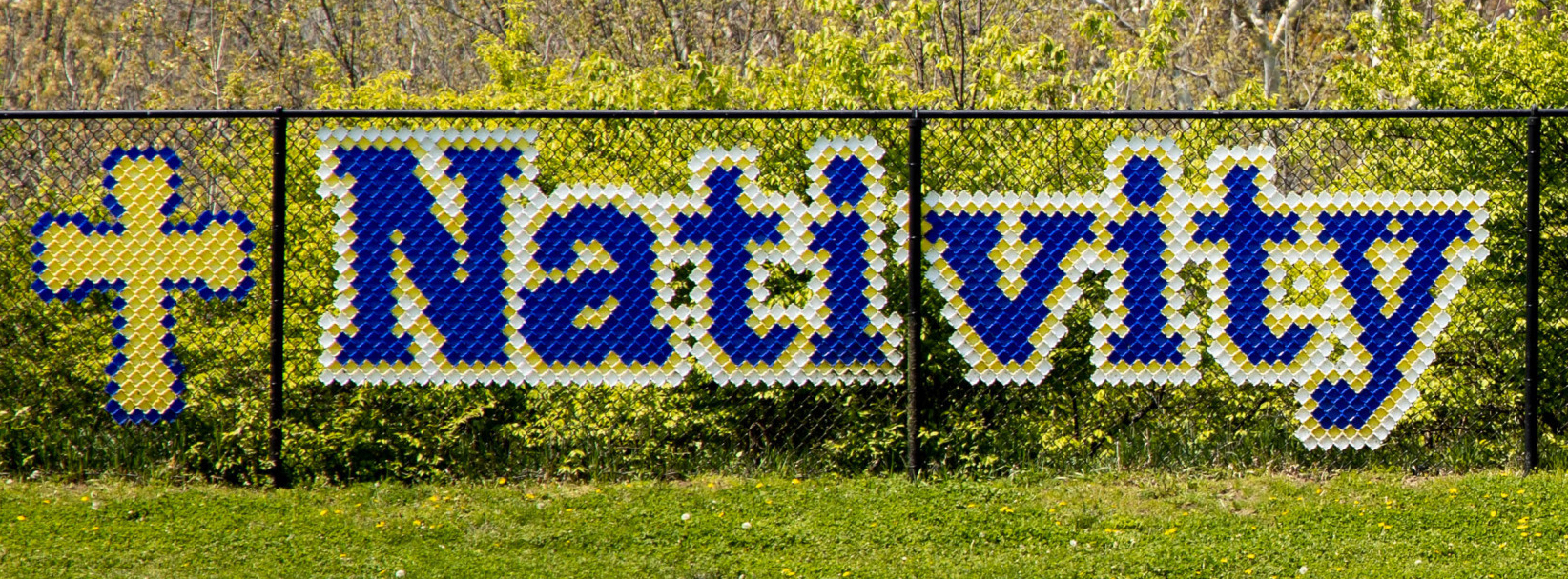 mosaic source image
