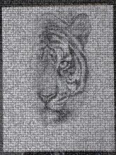 Bengal tiger Lion Felidae Siberian Tiger Big cat Cat Subspecies Siberia Drawing Art Visual arts Panthera Snout Painting