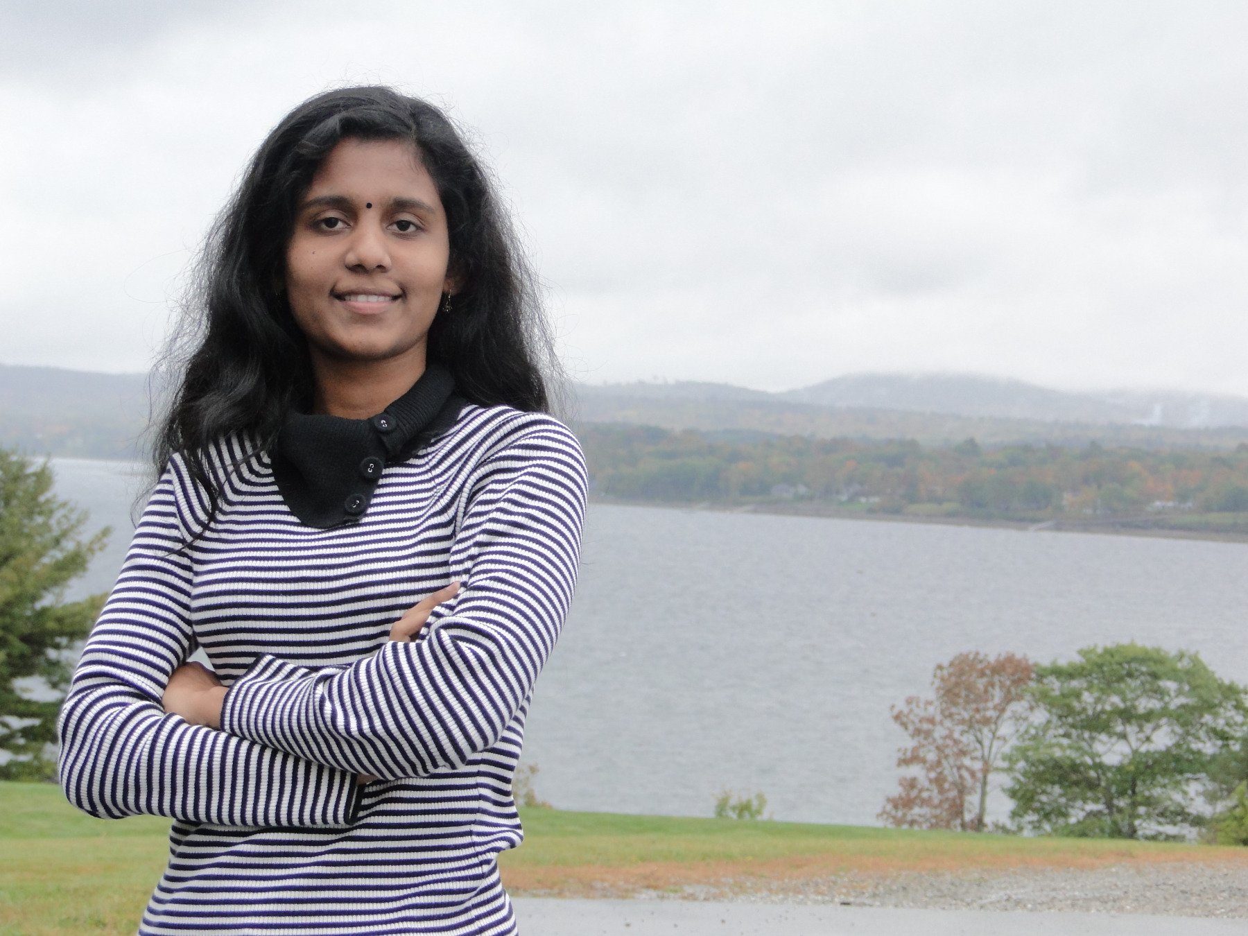 mosaic source image