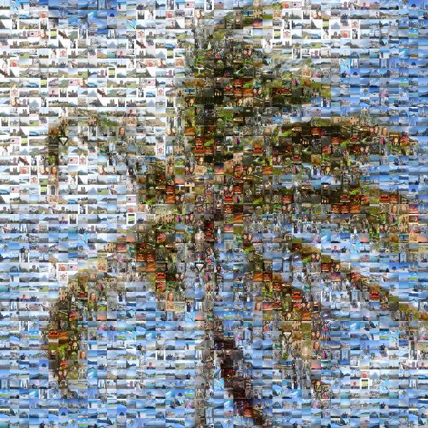 Palm tree photo mosaic