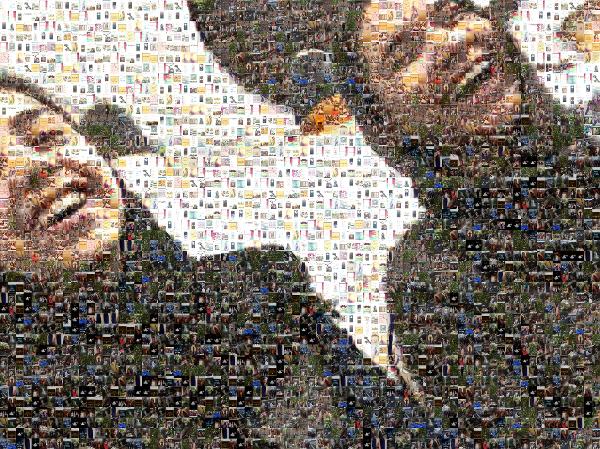 Friends Laughing photo mosaic