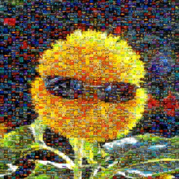 Cool Flower photo mosaic