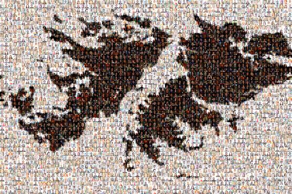 Falkland Islands photo mosaic