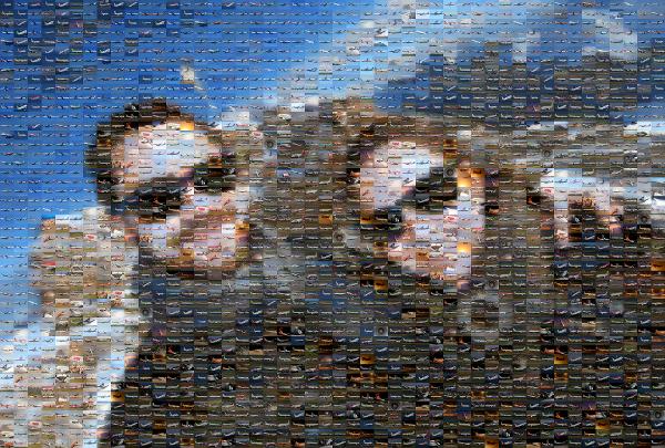 Couple Photo Made of Jets photo mosaic