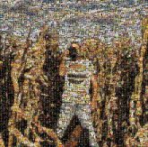 Photographer Photographer, professional, photos, head shots, people, faces, corn stalks, children