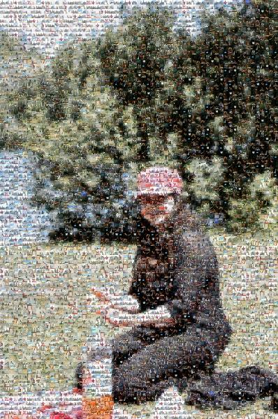 Picnic at the Lake photo mosaic