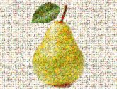 pears fruits foods healthy snacks