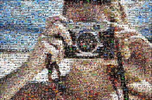 Camera Zoom photo mosaic