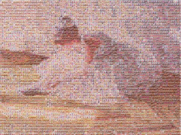 Ballerina photo mosaic